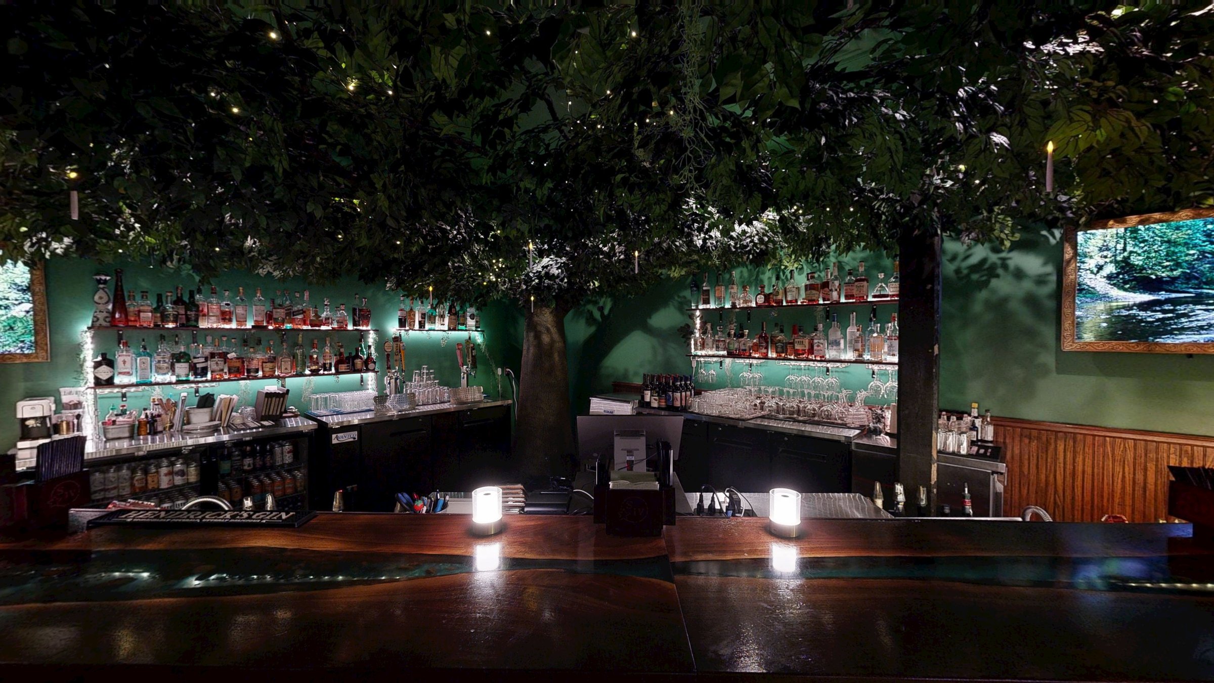 The Hollow bar and tree canopy, Columbia SC